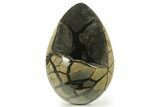 Septarian Dragon Egg Geode - Black Crystals #384466-3